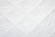 Ковдра FOUR SEASONS 180х210 см 150 г/250г/м2 microfiber