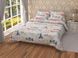Комплект Leleka Home П-845 Leleka-Textile 172х205 50х70 кольоровий 70х70