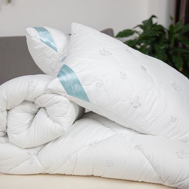 Комплект NATURE COLLECTION HARMONY Одеяло 180х210 см подушка 50х70 см 2 шт