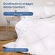 Ковдра WHITE COMFORT 140х205 см